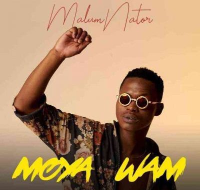 MalumNator – Aw’Yebo ft De Mthuda, Ntokzin & MFR Souls mp3 download