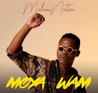 Malumnator – Make You Happy ft De Mthuda & Ntokzin