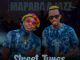 Mapara A Jazz – Street Tunes Adjusted Mix mp3 download