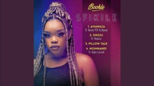Boohle – Singili mp4 download