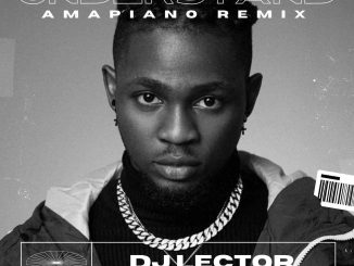 DJ Lector & Omah Lay – Understand (Amapiano Remix) mp3 download